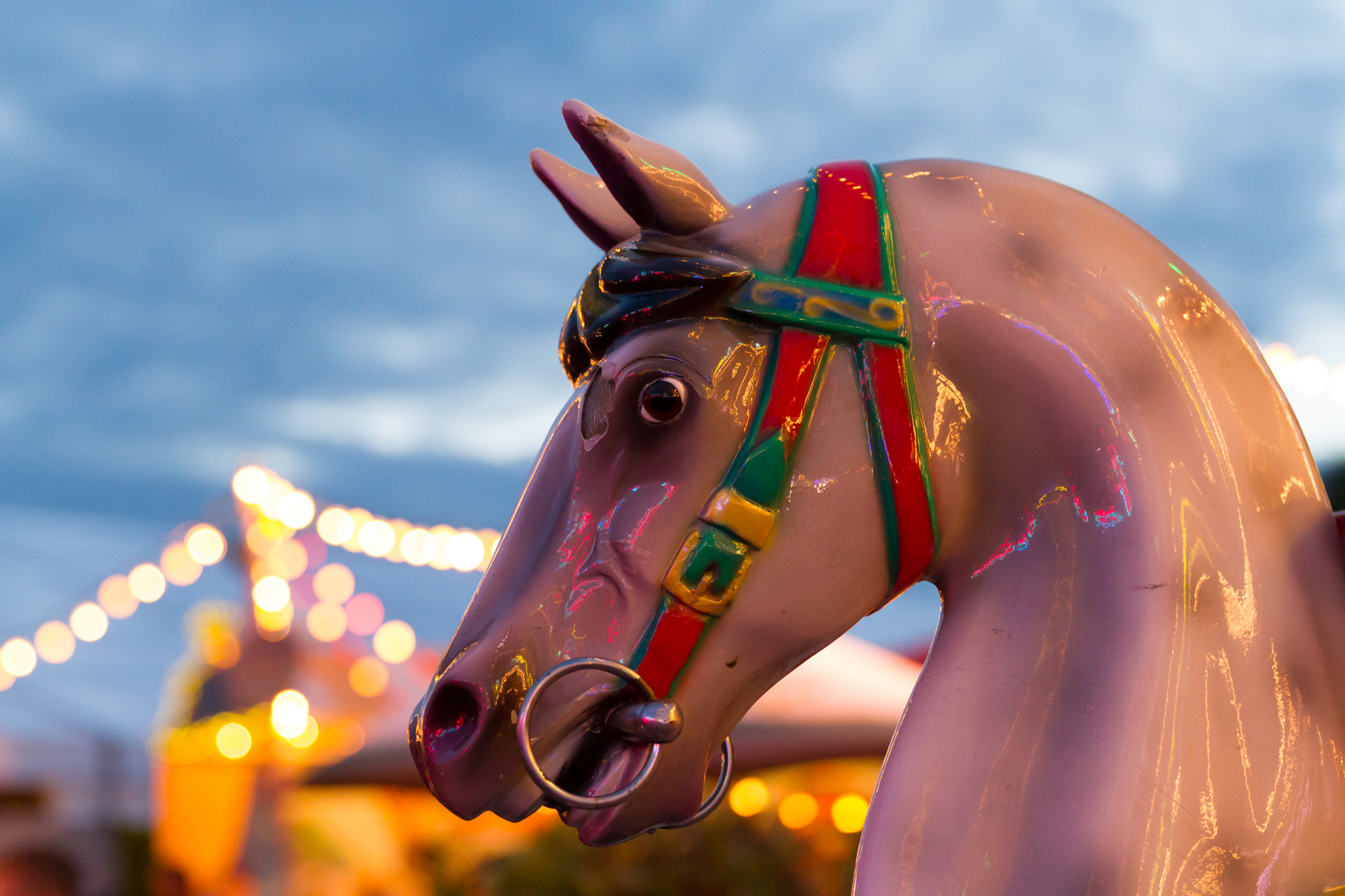 Reitschulgaul auf dem Wurstmarkt.