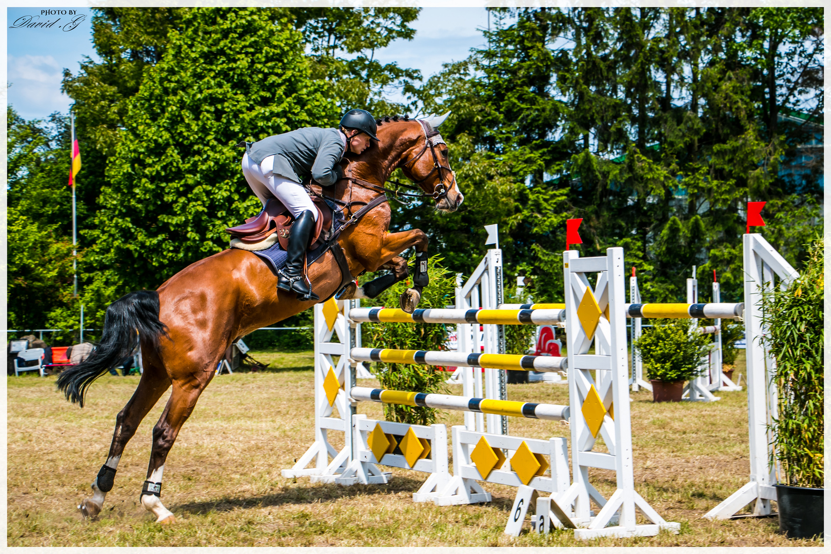 Reitsport à la carte Stadthagen