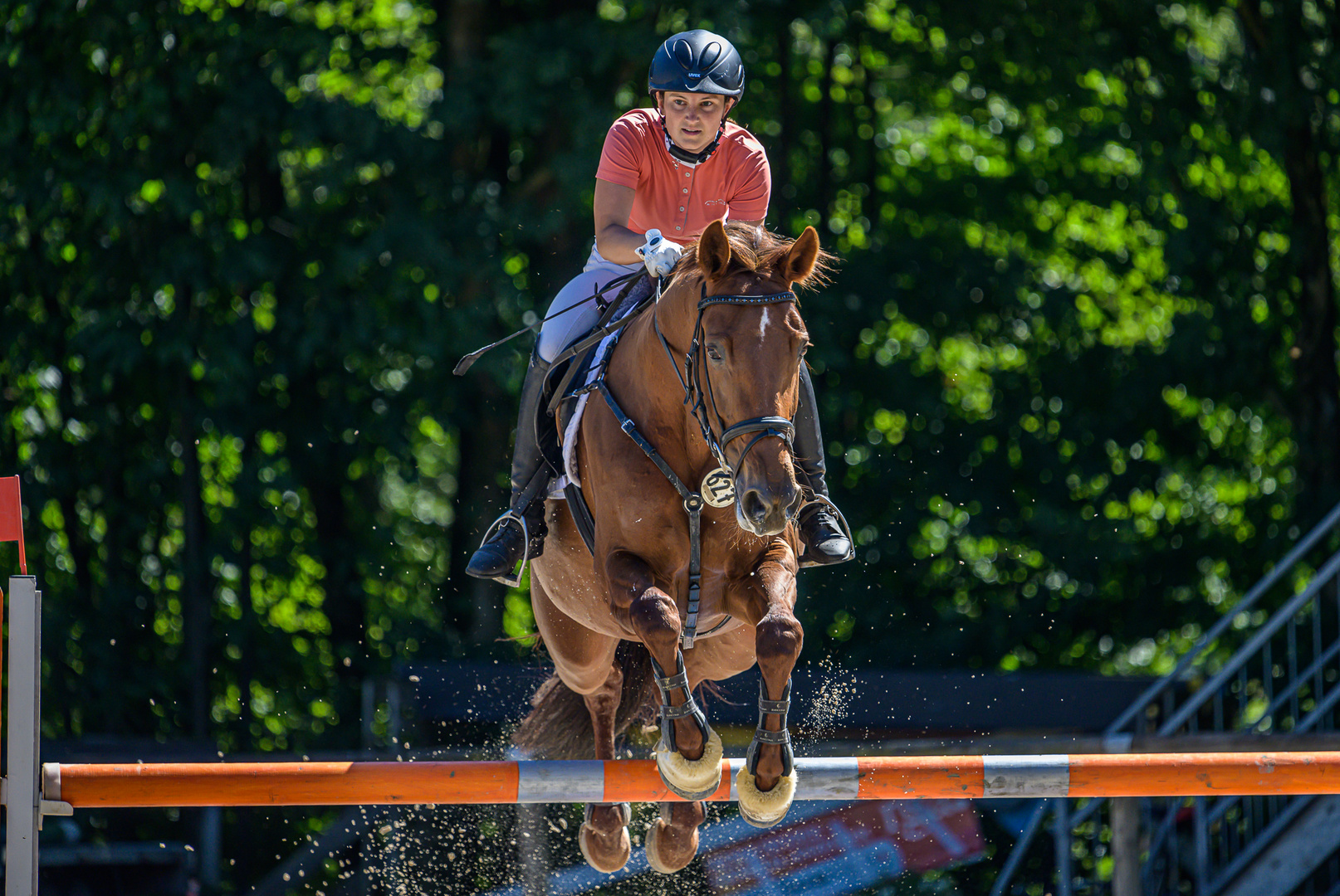 Reitsport Foto & Bild sport, erwachsene menschen, sport mit tieren Bilder auf
