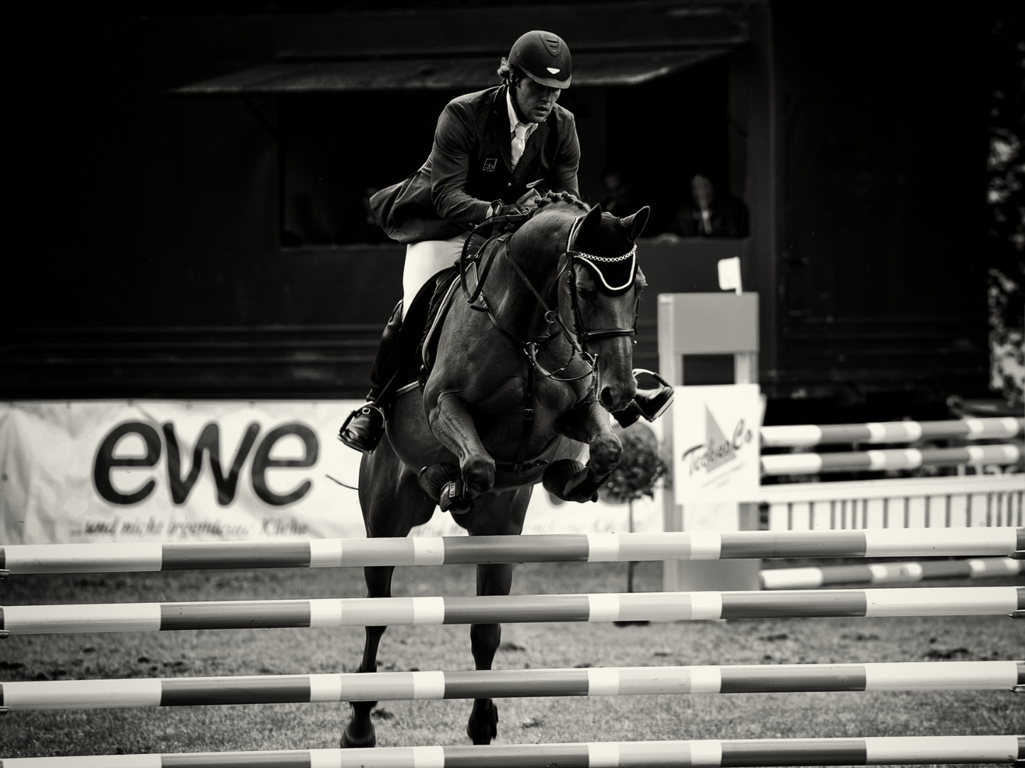 Reitsport