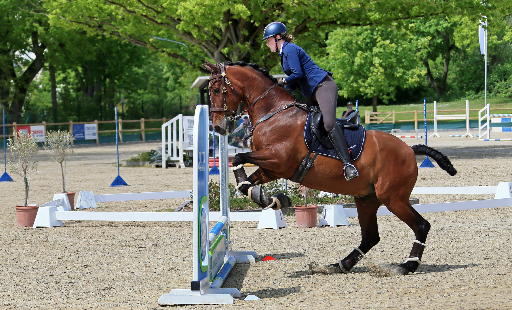 Reitsport - Geschicklichkeitsturnier