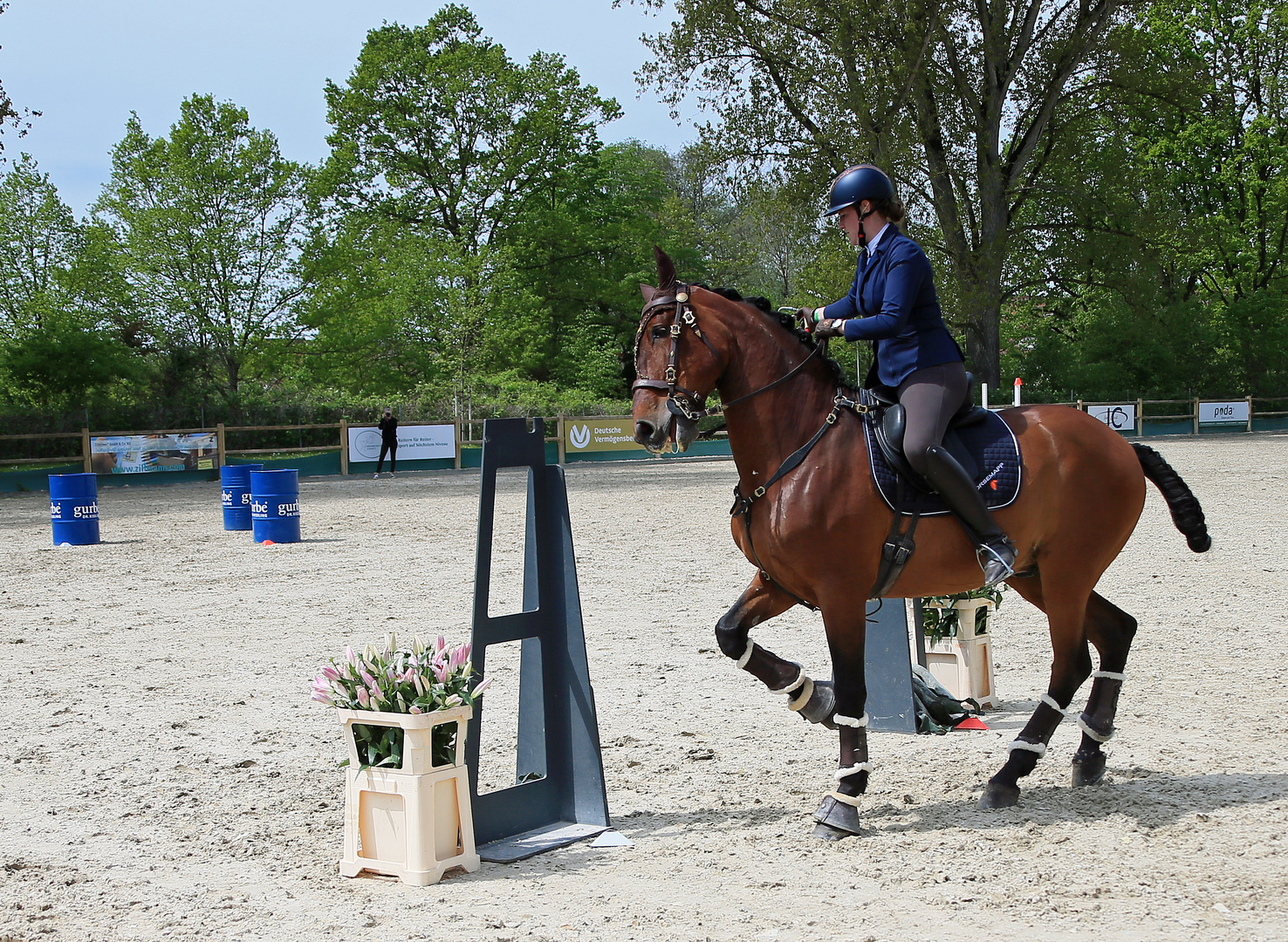 Reitsport - Geschicklichkeitsturnier