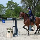 Reitsport - Geschicklichkeitsturnier