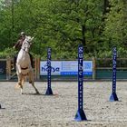 Reitsport - Geschicklichkeitsturnier