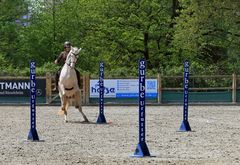 Reitsport - Geschicklichkeitsturnier