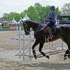 Reitsport - Geschicklichkeitsturnier