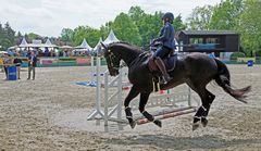 Reitsport - Geschicklichkeitsturnier