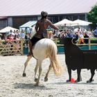 Reitsport - Geschicklichkeitsturnier