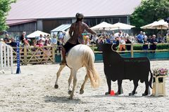 Reitsport - Geschicklichkeitsturnier