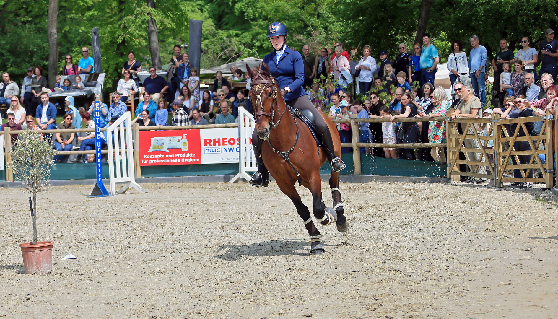 Reitsport - Geschicklichkeitsturnier