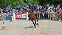 Reitsport - Geschicklichkeitsturnier