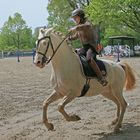 Reitsport - Geschicklichkeitsturnier