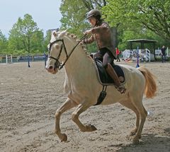 Reitsport - Geschicklichkeitsturnier