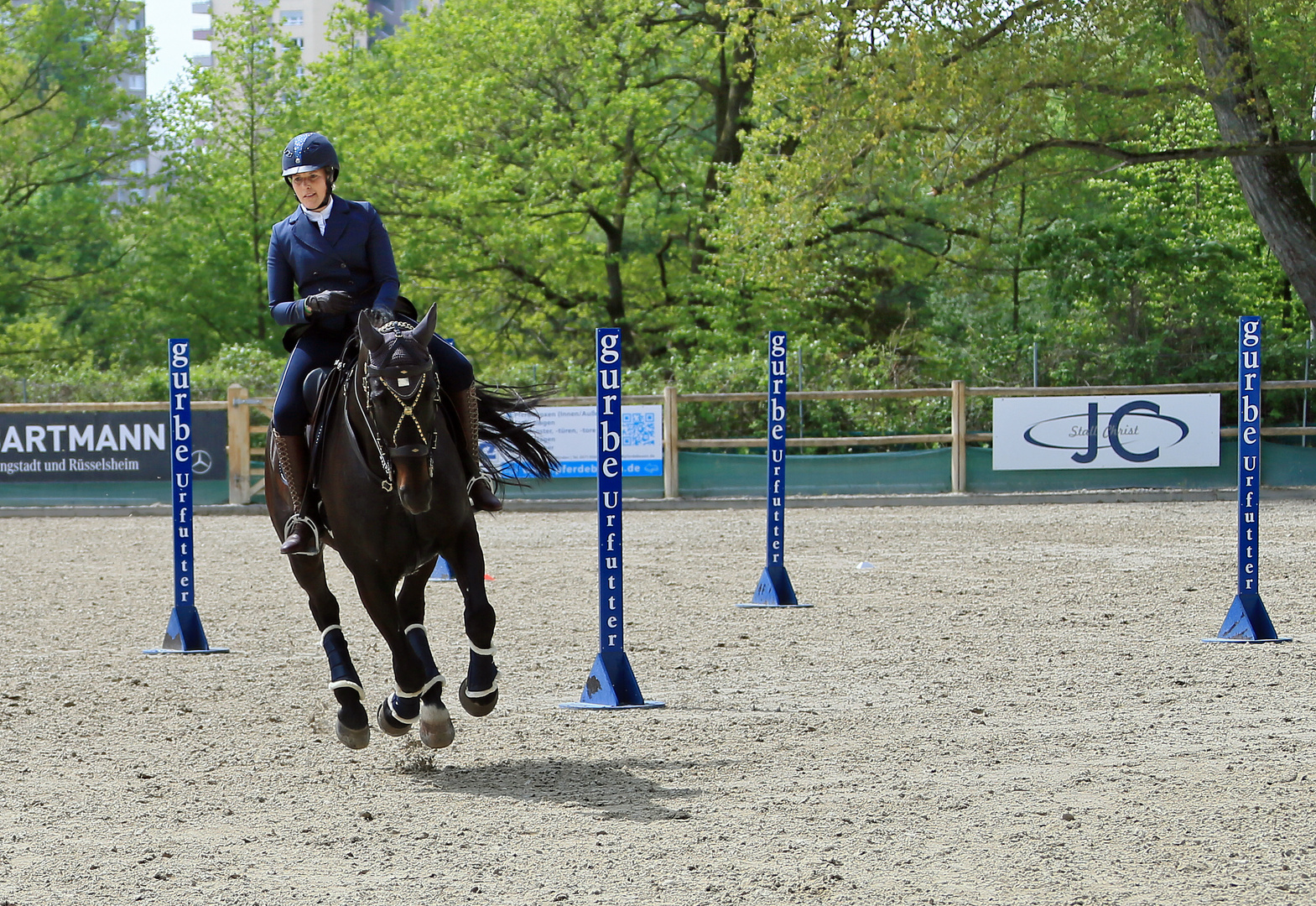 Reitsport - Geschicklichkeitsturnier