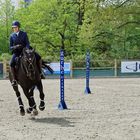 Reitsport - Geschicklichkeitsturnier