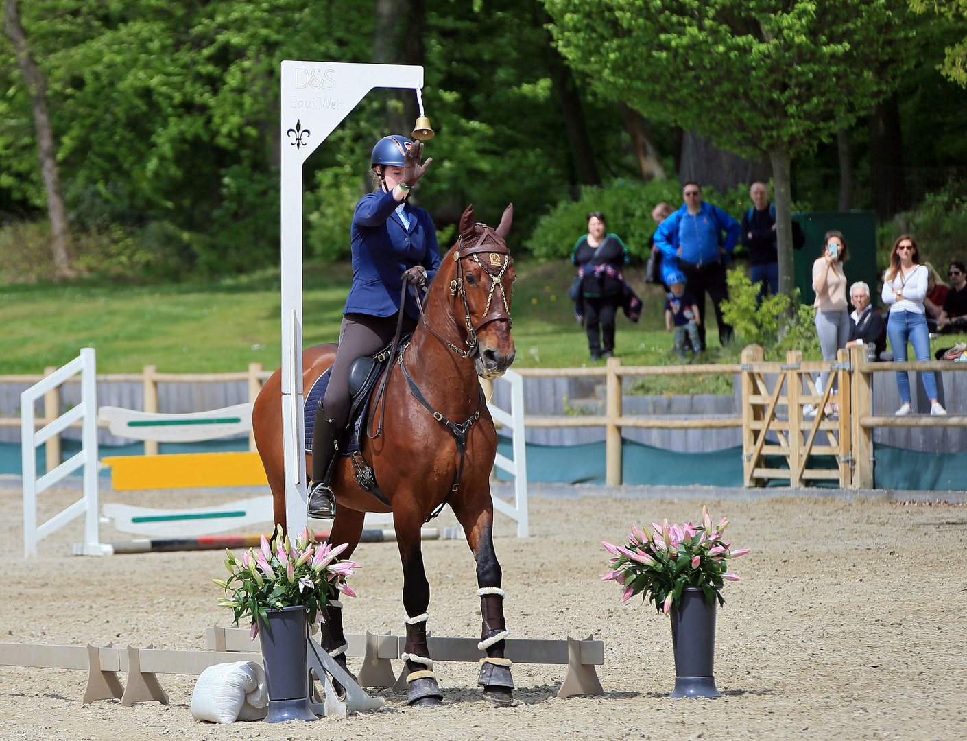 Reitsport - Geschicklichkeitsturnier