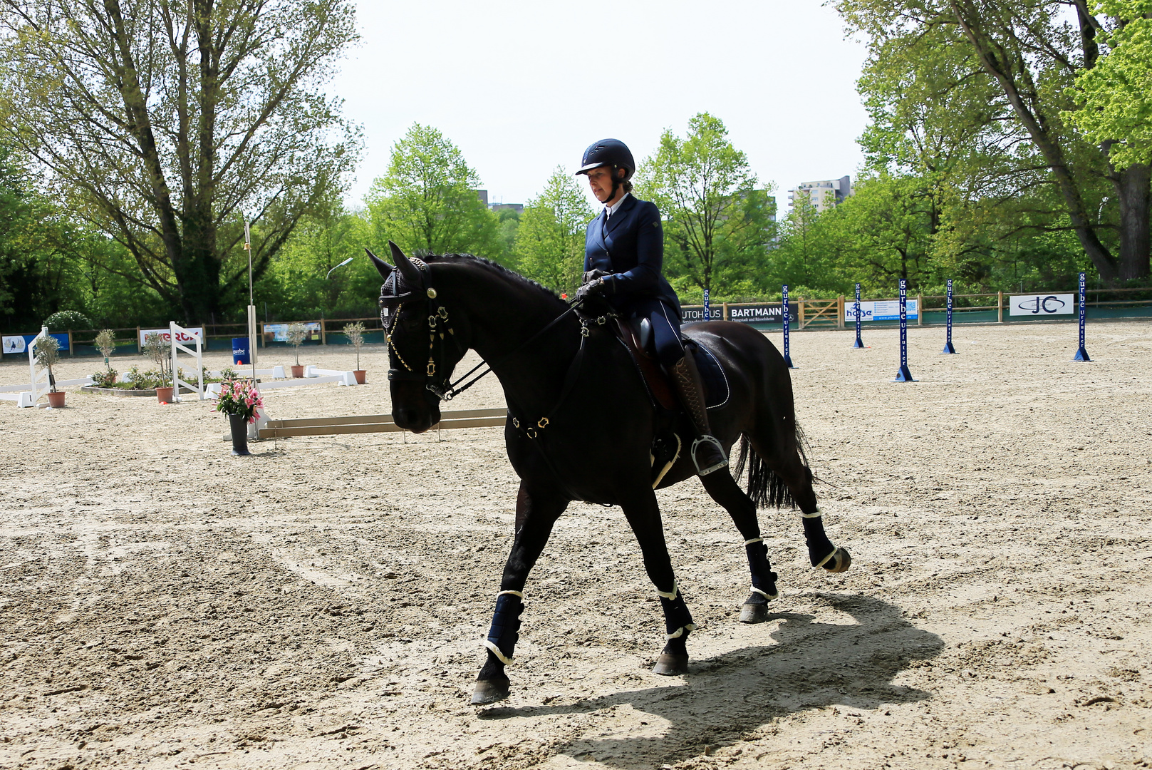 Reitsport - Geschicklichkeitsturnier