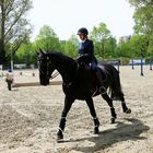 Reitsport - Geschicklichkeitsturnier