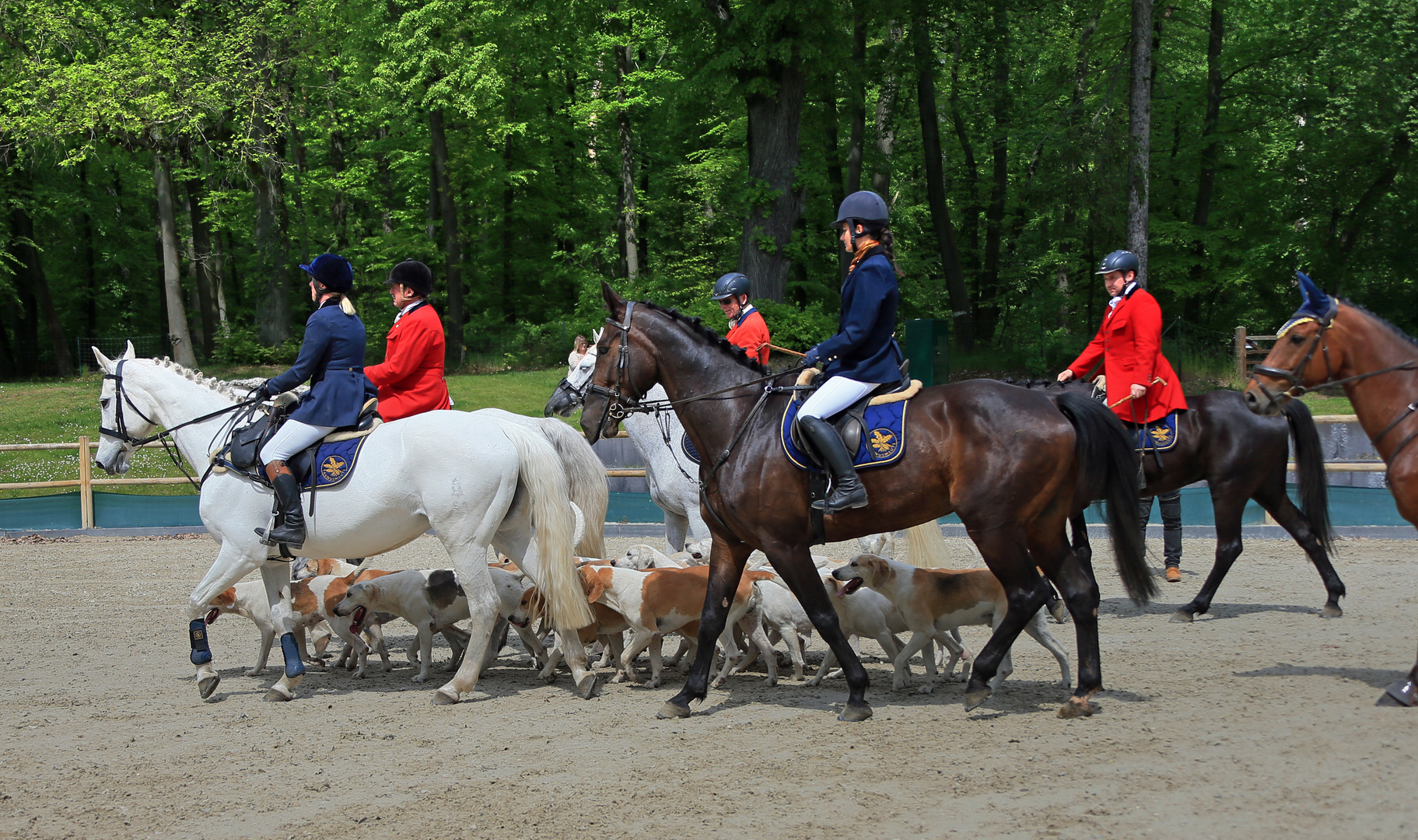 Reitsport - Schleppjagd