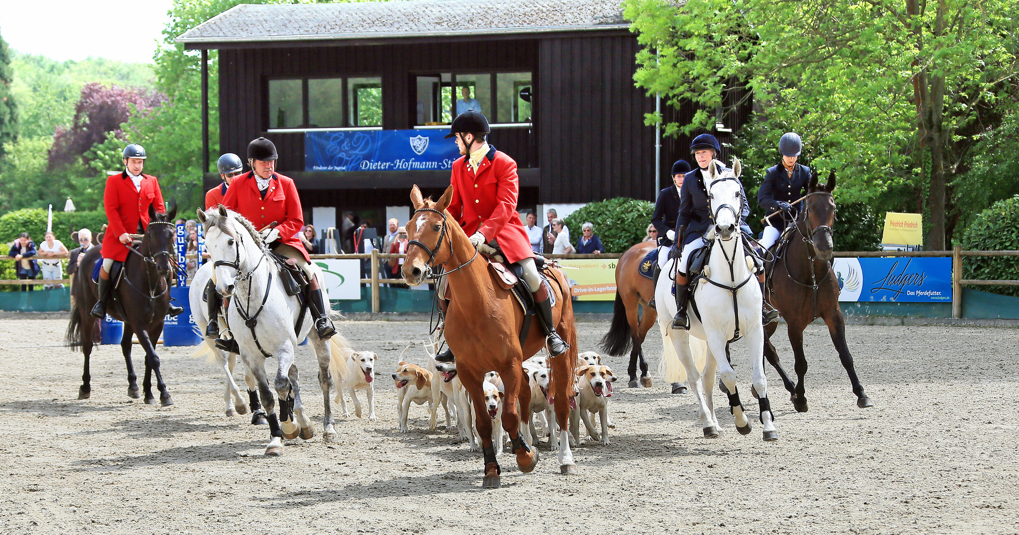 Reitsport - Schleppjagd