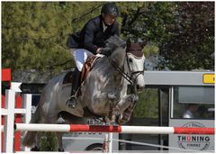 Reitspringen Greven Bockholt 2