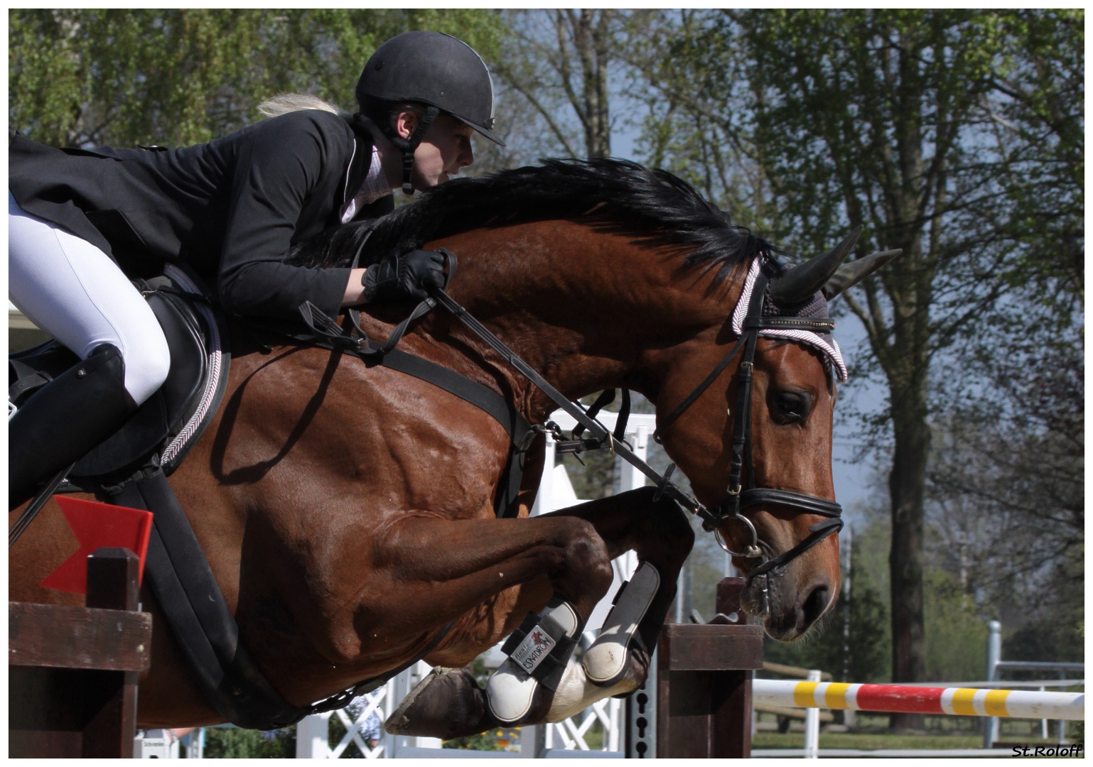 Reitspringen Greven Bockholt 3