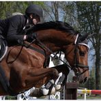 Reitspringen Greven Bockholt 3