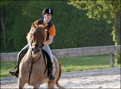 "Reittraining 2* bei Schwäbisch Hall"