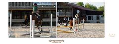 "Reittraining 3* bei Schwäbisch Hall - Serien-Ende"