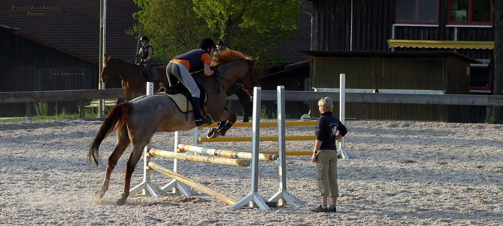 "Reittraining* bei Schwäbisch Hall"