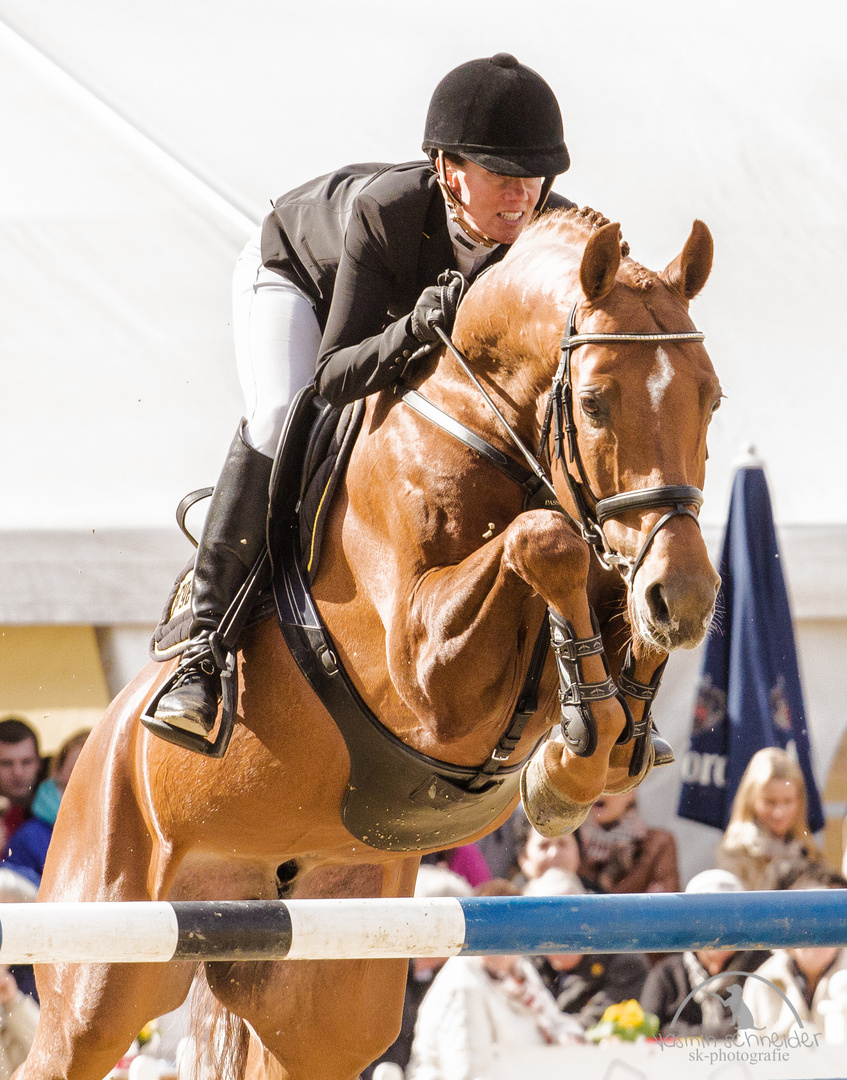 Reitturnier am Sielpark Bad Oeynhausen 2014