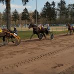 Reitturnier ...