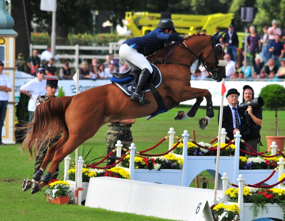 Reitturnier Donaueschingen #10# 20.09.09