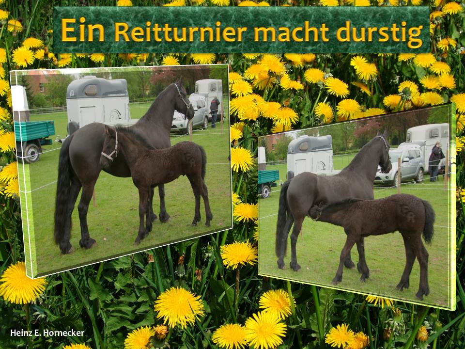 Reitturnier macht durstig.