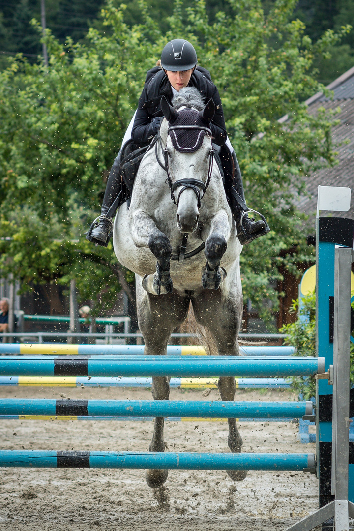 Reitverein Kufstein / 5