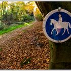 Reitweg im Naturpark Hohe Mark