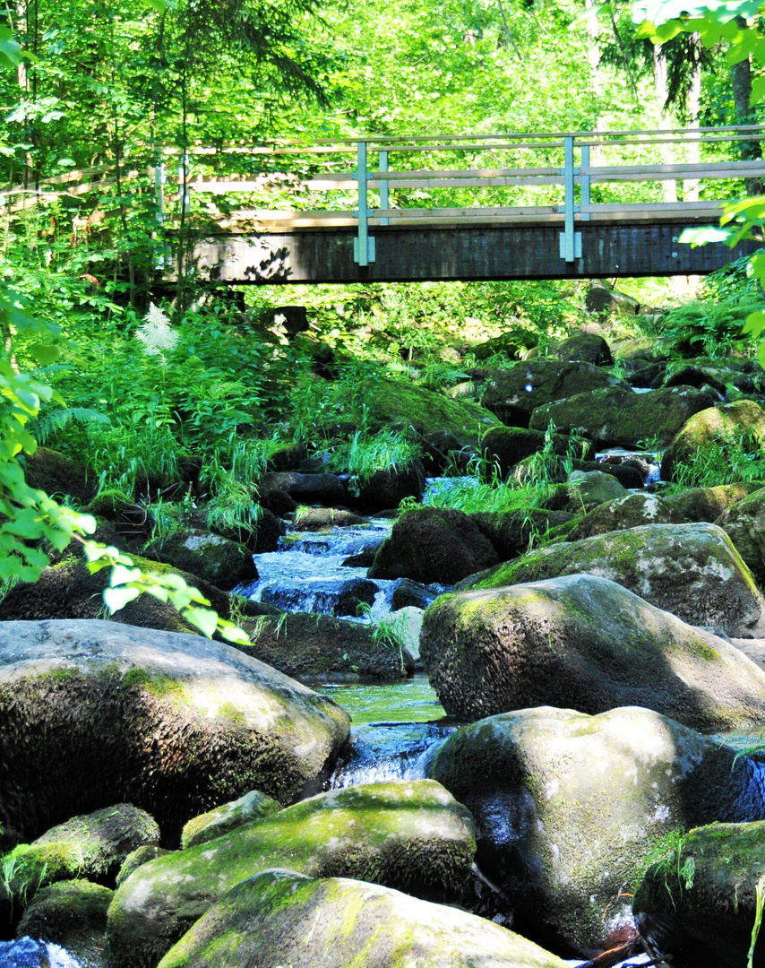 Reizend zu schaun das Wasser im Gestein!