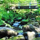 Reizend zu schaun das Wasser im Gestein!