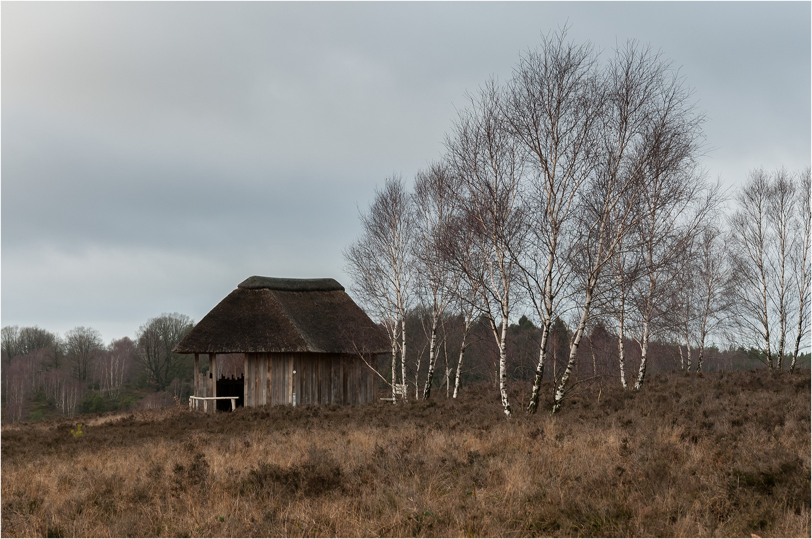 Reizvolle Lüneburger Heide