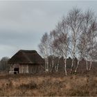 Reizvolle Lüneburger Heide