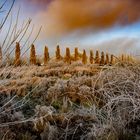 Reizvolle winterliche Landschaft