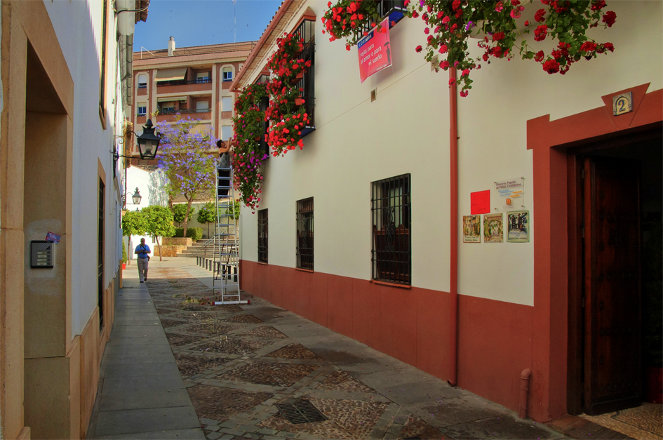 REJAS PARA EL AMOR O EL SUEÑO.(Dedicada a los cuidadores de los patios)