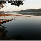 Rekauersee