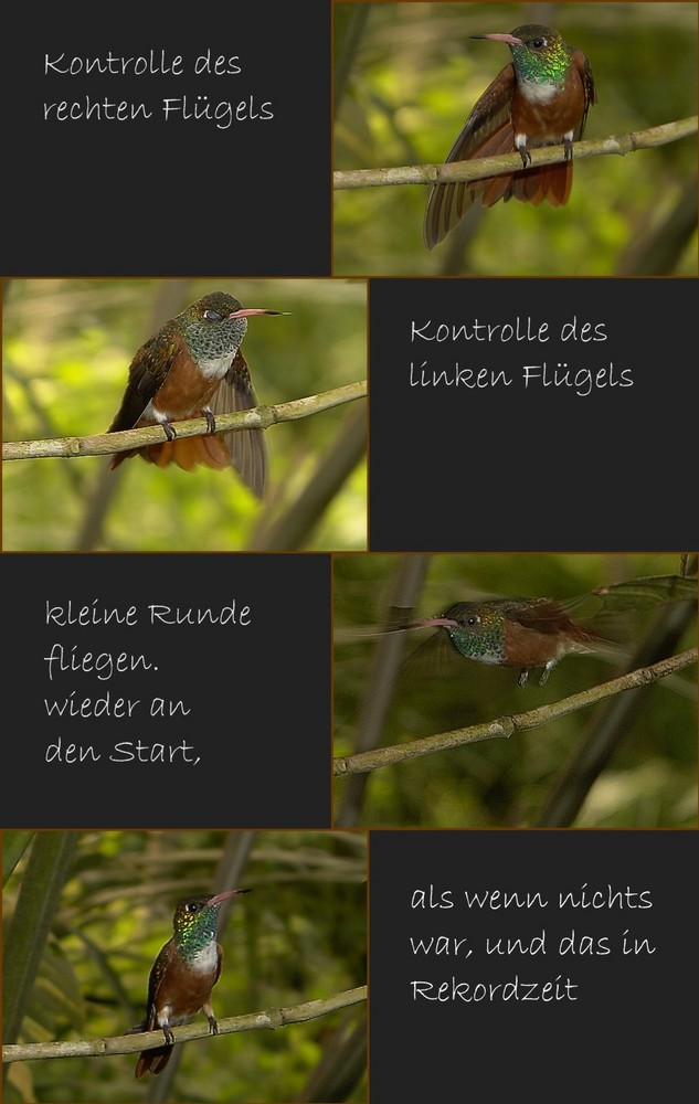 Rekord Flugzeit