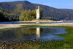 Rekord-Niedrigwasser am Rhein