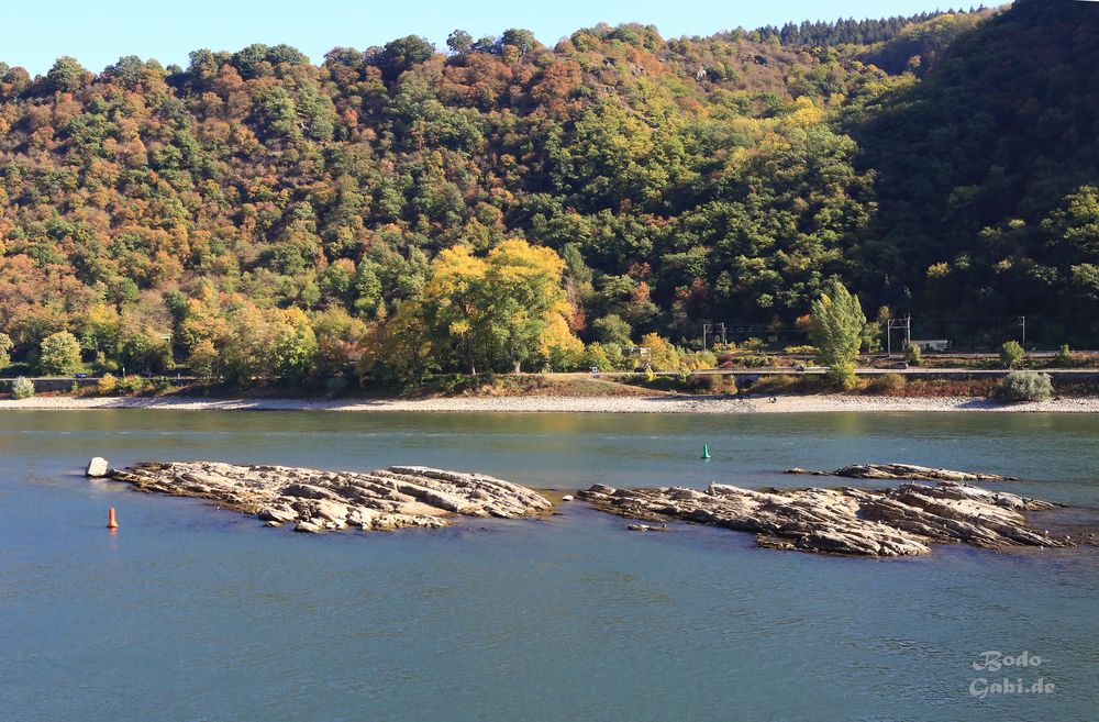 Rekord-Niedrigwasser am Rhein