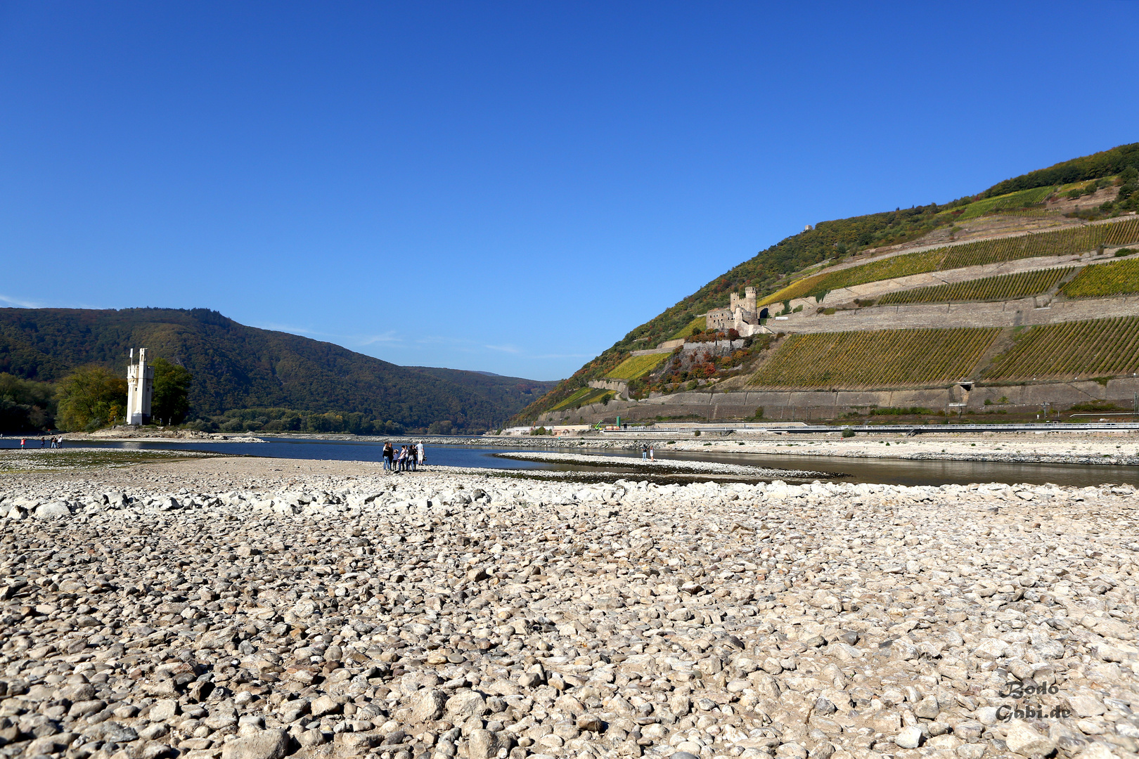 Rekord-Niedrigwasser am Rhein