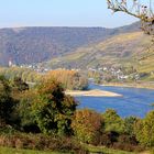 Rekord-Niedrigwasser am Rhein