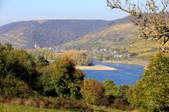 Rekord-Niedrigwasser am Rhein