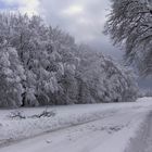 Rekord Schneefall im März